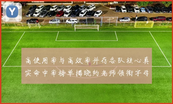 高使用率与高效率并存各队核心真实命中率榜单揭晓约老师领衔字母紧随其后